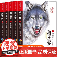 抖音同款]狼王梦沈石溪正版全套5册 沈石溪动物小说全集画本三四五六年级课外书的十大经典必读书籍作品故事4-5-6漫画珍藏