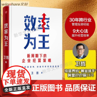 效率为王正版书籍 新周期下的企业经营策略 卫哲 著 现金为王 利润为王 存量时代 企业管理 企业经营