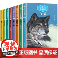 沈石溪动物小说全集正版全套8册 沈石溪的书全系列 正版小学生三五六年级必读课外书籍 适合5年级阅读的经典儿童读物狼王梦白