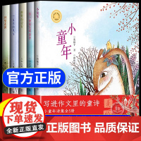 [抖音同款]小童年诗集全5册正版儿童版 写进作文里的童诗 三四五六年纪课外阅读书籍必读写作素材文学素养熏陶感受世界美好