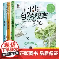 小小的自然观察笔记全3册我的大自然观察笔记儿童绘本3-6岁科普启蒙青少年读物儿童趣味百科全书自然篇 大自然在路上 大自然