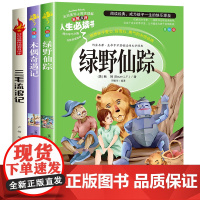全套3册 绿野仙踪+木偶奇遇记+三毛流浪记全集正版三年级必读的课外书名著小学生3年上下学期阅读书籍经典书目