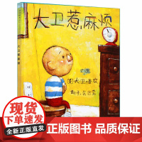 大卫惹麻烦 精装 大卫系列彩色绘本图画书 儿童启蒙学习认知读物 少儿童话故事书籍 启发绘本大卫不可以上学去3-6-8岁全