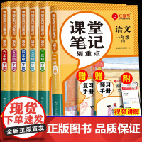 2025新版课堂笔记人教版小学生随堂笔记一二年级三年级语文下册课本全套教材全解正版四五六年级小学同步黄冈学霸随堂教材讲解