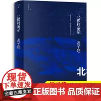 迟子建北极村童话迟子建作品集作家出版社短篇中篇小说集散文集茅盾文学奖获奖全集鲁迅文学奖得主中国现当代文学精选北极村的童话