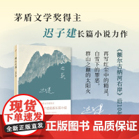 群山之巅 迟子建讲述罪恶与救赎的灵魂独白 茅盾文学奖得主迟子建额尔古纳河右岸 中国现当代文学长篇小说
