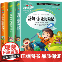 汤姆索亚历险记正版原著尼尔斯骑鹅旅行记爱丽丝漫游奇境记梦游仙境奇遇记六年级必读的课外书老师6年级下册适合小学生书目