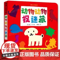 2-4岁儿童益智早教书动物颜色卡片认知 绘本4-6岁幼儿园小班中大班宝宝启蒙认知早教书 动物动物捉迷藏蒲蒲兰二十一世纪出
