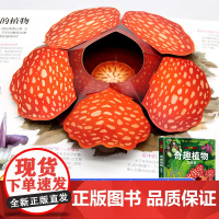 奇趣植物立体书儿童3d立体书机关8岁以上百科全书翻翻10岁一二年级生日礼物绘本故事书小学生女孩男孩大全