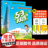 2024新版 53天天练二年级下册同步练习册全套语文数学下册人教版小学2下学期语数同步训练试卷5+3五三5.3课本教材课