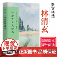 林清玄散文集青少年版正版散文精选经典作品系列散文精选集 人间有味是清欢 小说故事书珍藏版现当代散文随笔集菩提清欢系列书