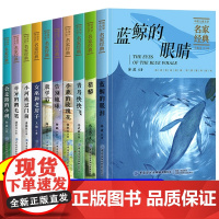 中国儿童文学名家经典全套10册冰波王一梅童话系列沈石溪动物小说全集初中小学生三四五六年级课外阅读书籍名著读物书目蓝鲸的眼