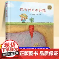 精装硬壳你为什么不开花儿童绘本3到6岁幼儿园专用大班以上0到3岁宝宝绘本早教启蒙认知童书宝宝故事书亲子阅读睡前故事儿童读
