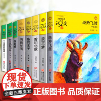 狼王梦正版沈石溪动物小说单本原著完整版儿童文学浙江少年儿童出版社7-9-11周岁小学生一年级二年级四五六三年级课外阅