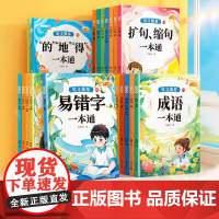 词语积累大全训练语文强基专项强化训练量词重叠词近义词反义词形容词成语知识大全小学一二年级人教版小学生aabb式易错字关联