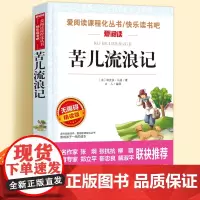 苦儿流浪记完整版无障碍精读儿童文学系列小学生课外阅读书小学三四五六年级天地出版社原著正版爱阅读课程化丛书名著语文课外读物