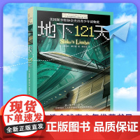 地下121天长青藤国际大奖小说书系青少年中小学生儿童文学经典书籍四五六年级阅读课外书6岁以上适合小学生初中生看的课外书正
