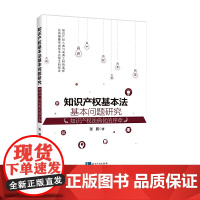 知识产权基本法基本问题研究: 知识产权法典化的序章