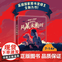 风暴来临时
