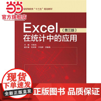 Excel在统计中的应用(第三版)(普通高等教育“十三五”规划教材)