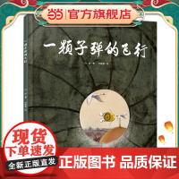 中少阳光图书馆 一颗子弹的飞行