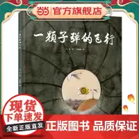 中少阳光图书馆 一颗子弹的飞行