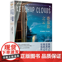 番茄酱之云 安娜贝尔.皮彻 江苏凤凰文艺出版社 正版书籍