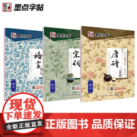 墨点字帖 经典文化唐诗宋词格言警句楷书3本套装成人硬笔书法临摹练字帖