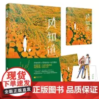 风知道 沈熊猫 江苏凤凰文艺出版社 正版书籍