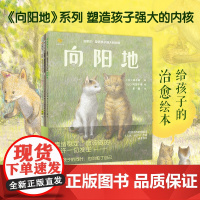 温暖你:塑造孩子强大的内核(向阳地+光+狐狸兄妹阿绀和阿金)全3册 治愈孩子的同时,也治愈了自己,告别敏感、脆弱。