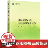 国际视野中的生态环境安全法治