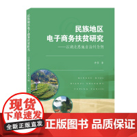 民族地区电子商务扶贫研究