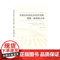 中国农村的社会经济实践:策略、障碍和主体