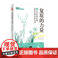 复原的力量 : 5大高效能法 邦妮·圣约翰, 艾伦·海恩斯, 葛秋菊 译,中资海派出品 新世界出版社 正版书籍