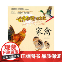 浪漫彩铅随意绘--家禽