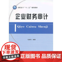 企业财务审计(马西牛)
