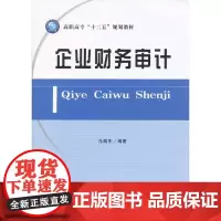 企业财务审计(马西牛)