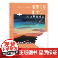 仰望天空的少年:去山野间看云