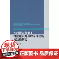 乡村振兴背景下村庄组织的乡村治理功能与路径研究
