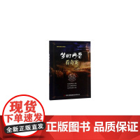 梦回两晋看奇案