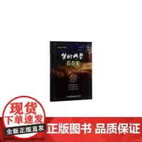 梦回两晋看奇案