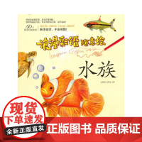 浪漫彩铅随意绘--水族