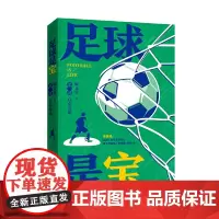 足球是宝(第二部):真心英雄 鞠文堂 中国言实出版社