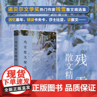 残雪散文精选 残雪 长江文艺出版社 正版书籍
