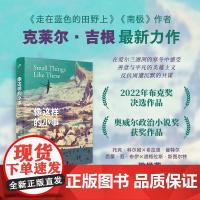 像这样的小事(《南极》《走在蓝色田野上》作者全新力作,入围2022年布克 克莱尔•吉根 人民文学出版社 正版书籍