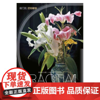 实用照片:色彩静物