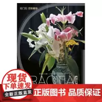 实用照片:色彩静物