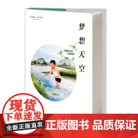 梦想天空(精装)