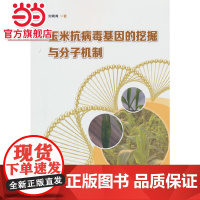 玉米抗病毒基因的挖掘与分子机制 2373.青 著9787521923735中国林业出版社