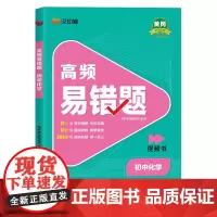高频易错题 初中化学